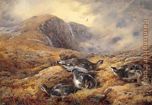 Archibald Thorburn Danger Aloft